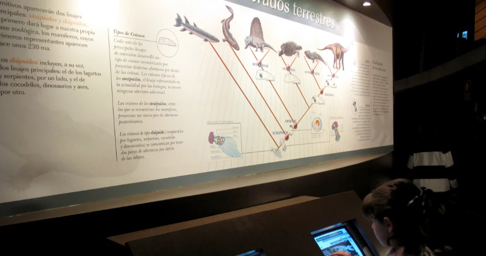 Weekend Getaway in DTLA: What to Do in 48 Hours   