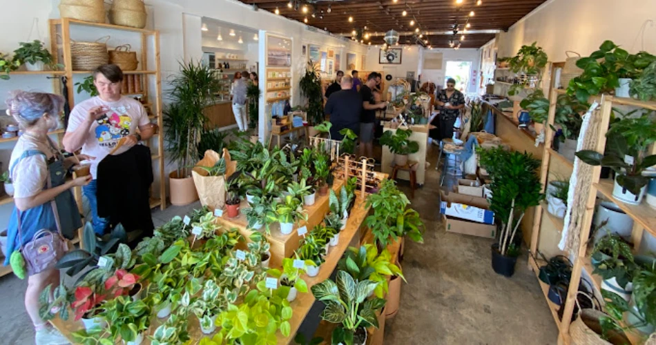 Best 10 DTLA's Best Coffee Shops for Every Mood